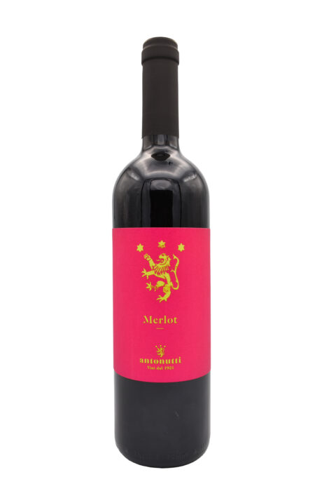 Merlot - Antonutti
