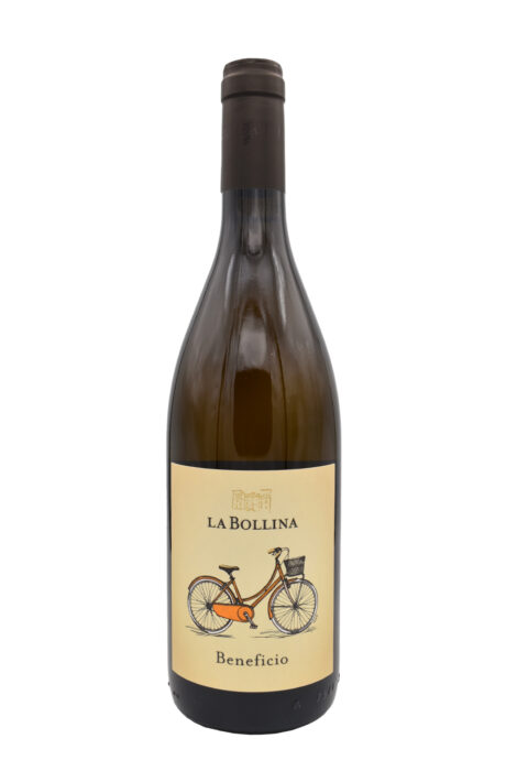 Beneficio - La Bollina