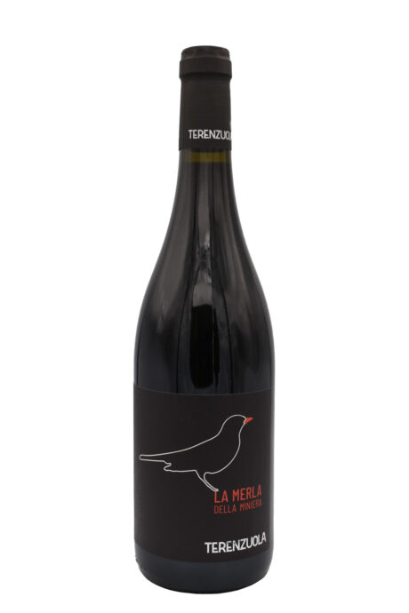 Merla della Miniera - Terenzuola