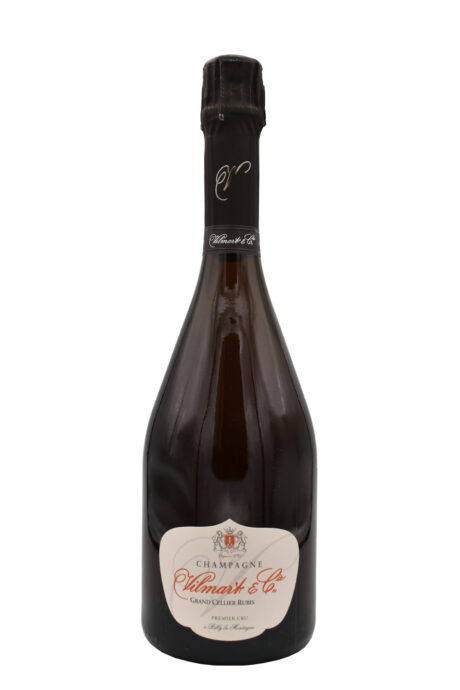Champagne Blanc de Blancs Millesimé Grand Cru Extra Brut Cofanetto (Astucciato) - Bruno Paillard