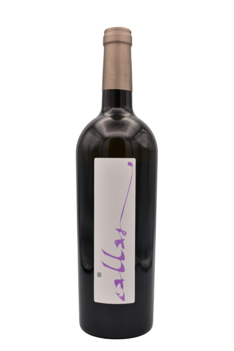 Malvasia Callas - Monte delle Vigne