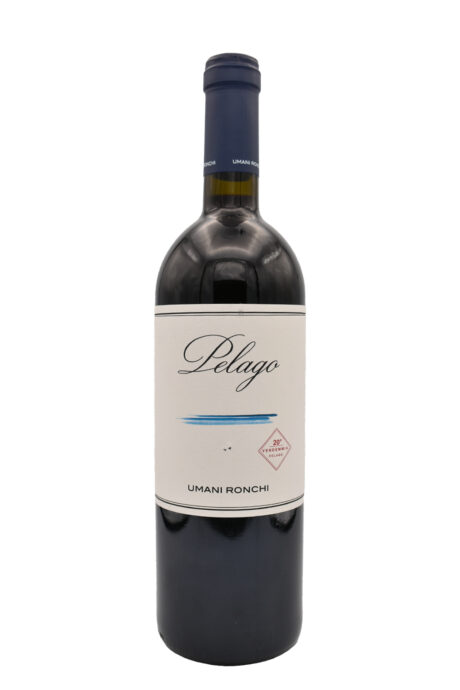 Chianti Classico Castello di Lamole - Fattoria di Lamole