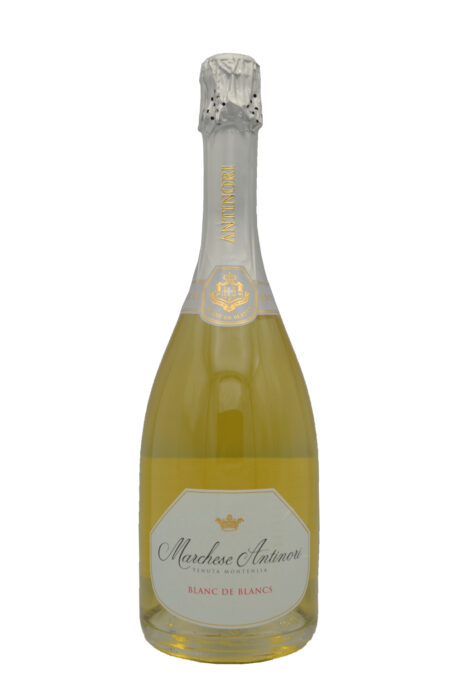 Franciacorta Marchese Antinori Blanc de Blancs Brut - 'Tenuta Montenisa' Antinori