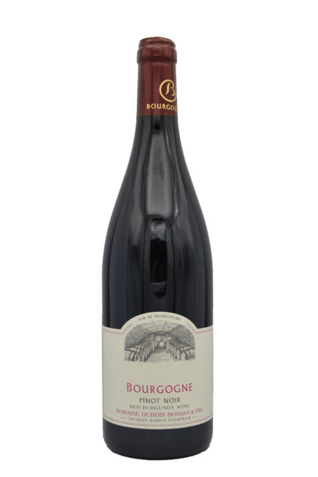 Bourgogne Pinot Noir - Domaine Dubois Bernard et Fils