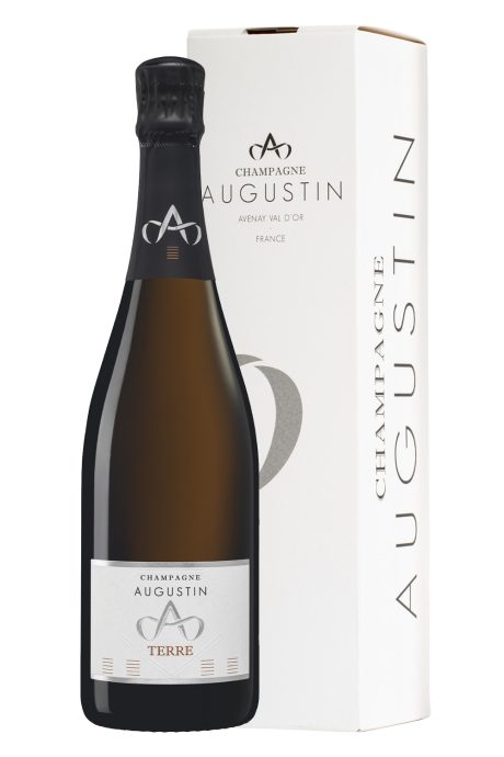 Champagne Cuvée CCXCI Terre Blanc de Noirs Brut Nature Astucciato - Marc Augustin