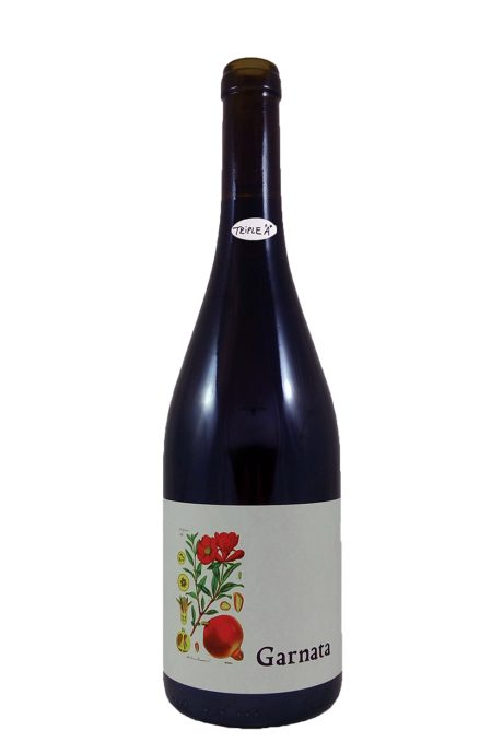 Vino Tinto Garnacha Garnata - Bodega Barranco Oscuro